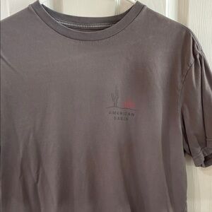 American Eagle Outfitters Gray Men's Short Sleeve Tee